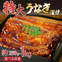 【ふるさと納税】 うなぎ 蒲焼き 1尾 250g 特大 2尾 計500g 1kg 250g×4尾 タレ付き 冷凍 小分け 肉厚 ふっくら 香ばしい うなぎ蒲焼き 鰻蒲焼 養殖鰻 養殖うなぎ 温めるだけ 簡単調理 うな重 うな丼 土用 丑の日 ふわふわ パリパリ 白焼き お米 ご飯 栄養食 日本料理