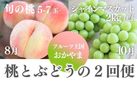 【2026年先行予約】桃も葡萄もしっかり食べたい！旬桃とシャインマスカットの満足便 (定期便) (岡山県産) / 8月10月 【KF-T062-02】