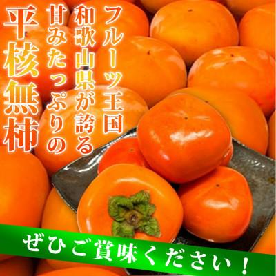 ふるさと納税 北山村 和歌山秋の味覚 平核無柿(ひらたねなしがき)約2kg 化粧箱入【uot738】 |  | 03