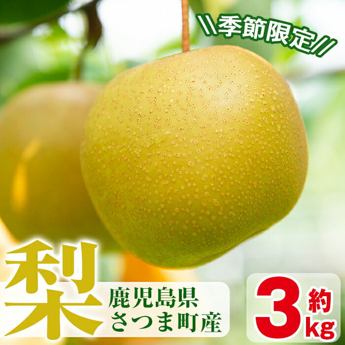 【ふるさと納税】＜2025年8月下旬より順次発送予定＞《期間・数量限定》さつま町産の梨(3kg) 鹿児島 国産 なし ナシ フルーツ 果物 果実 果汁 旬 季節品 【市山梨花園】