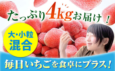 王様のいちご 摘みたてこおりいちご 4kg（冷凍いちご）いちごさん さがほのか【むらおか農園】フルーツ 果物 イチゴ [HAF004]