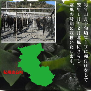 BB6063_紀州衣奈産乾燥わかめ　150g×3パック (2026年産)