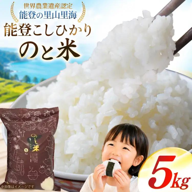 米 令和8年 のと米 能登こしひかり 5kg