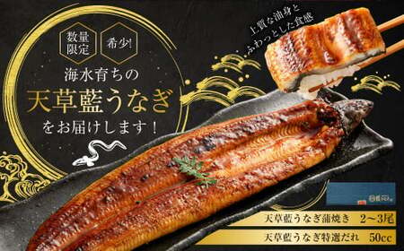 【令和8年度熊本地震復興支援】【ミシュラン星付きのプロが愛用】1日10セット限定！海水育ちの天草藍うなぎ 蒲焼き 2～3尾セット【合計約400g】数量限定!! 鰻 ウナギ うなぎ うなぎ蒲焼 鰻の蒲焼