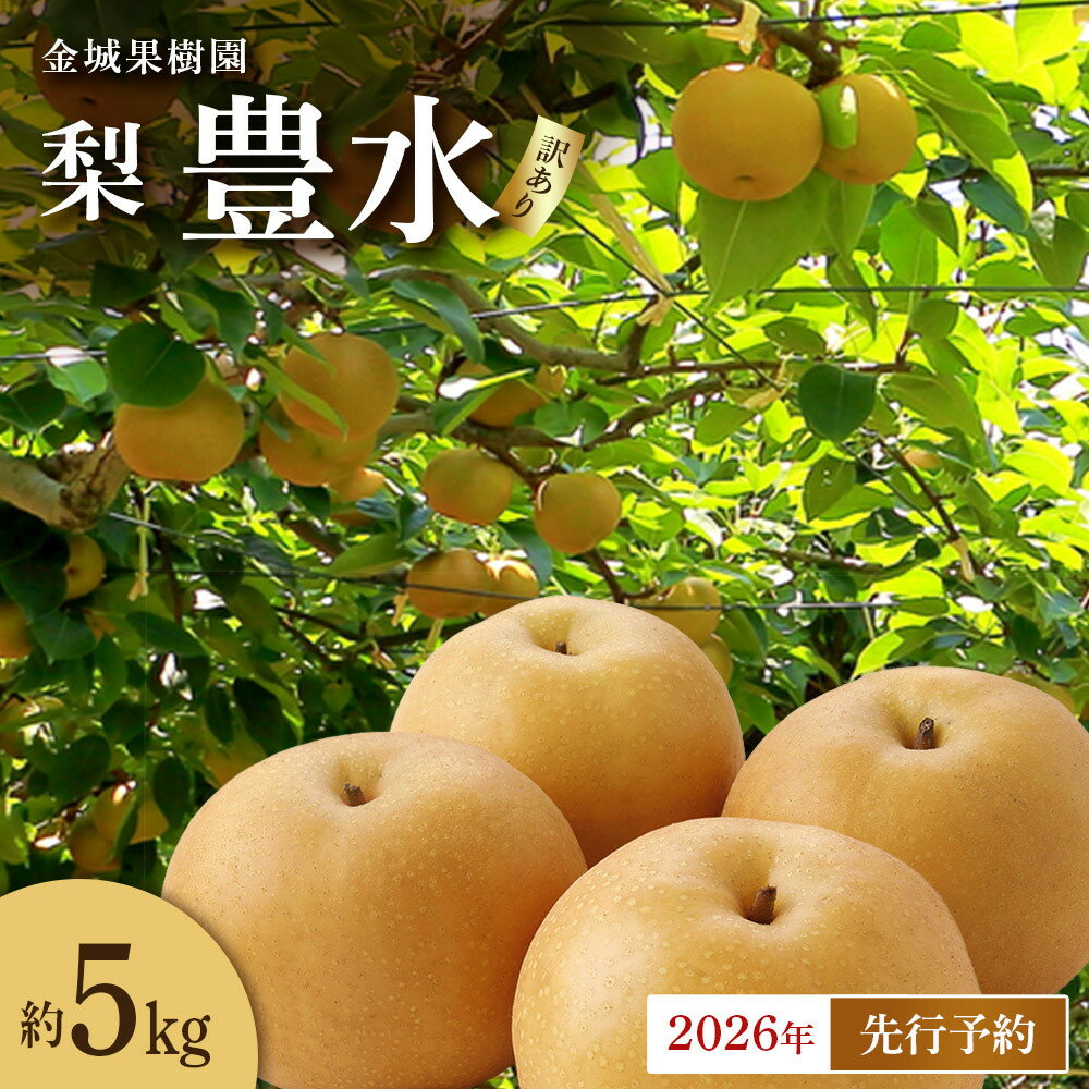 【ふるさと納税】【訳あり／2026年先行予約】金城果樹園　梨「豊水」約5kg（8～14玉入）2026年9月初旬～順次発送 | フルーツ 果物 くだもの 食品 人気 おすすめ 送料無料