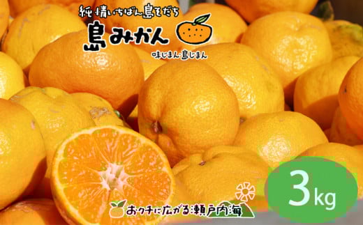 【11月下旬頃から発送予定】温州みかん 3kg  愛媛 中島産 希望の島  家庭用 みかん 柑橘