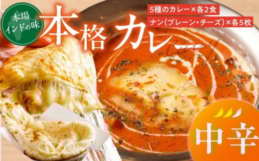 【中辛】ビスヌ 本格カレー 10食＋プレーンナン5枚＋チーズナン5枚_ビスヌ 10食 プレーンナン チーズナン 各 5枚 中辛 バターチキン 豆 海老 チキン キーマ インドカレー ナン チーズ スパイス こだわり インド 直輸入 Aランク できたて 冷凍 真空パック 福岡県 久留米市 送料無料_Ca050-02