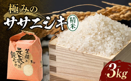 【令和8年産】 極みのササニシキ（精米）3kg×1袋 米 お米 おこめ ふるさと納税 山形県 新庄市 F3S-2833
