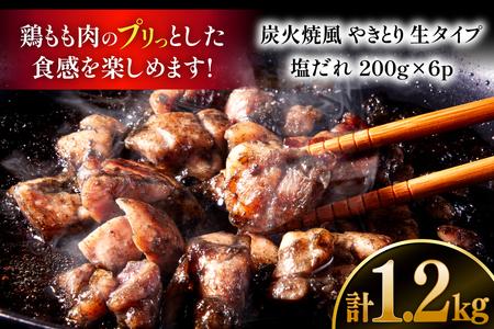 【新登場】 炭火焼鳥 炭火焼風やきとり 生タイプ 塩だれ 200g×6P [日本ハムマーケティング 宮崎県 日向市 452061572]