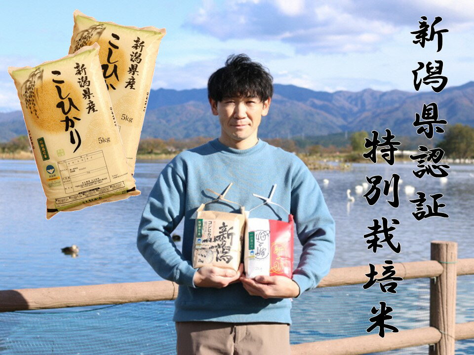【ふるさと納税】【令和7年産新米予約】従来コシヒカリ 10kg（5kg×2袋） 特別栽培米 新潟県認証米 阿賀野市産 丸山農園 10月上旬より順次発送予定