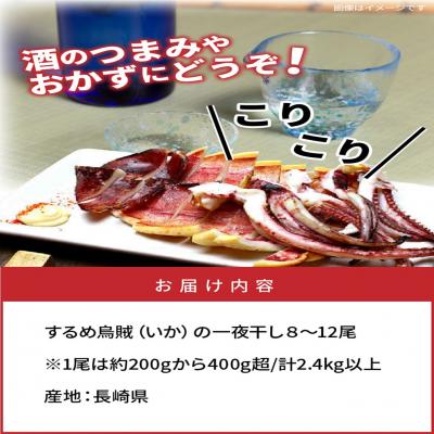 ふるさと納税 国東市 サイズは不揃いでも味は逸品!肉厚するめ烏賊一夜干し2.4kg_1904R |  | 03