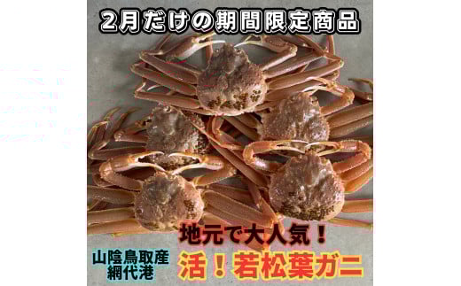 【22036】鳥取網代港　地元で大人気　活！若松葉ガニ（中5枚）岩美 松葉がに ずわいがに かに カニ 日本海【さかなや新鮮組】