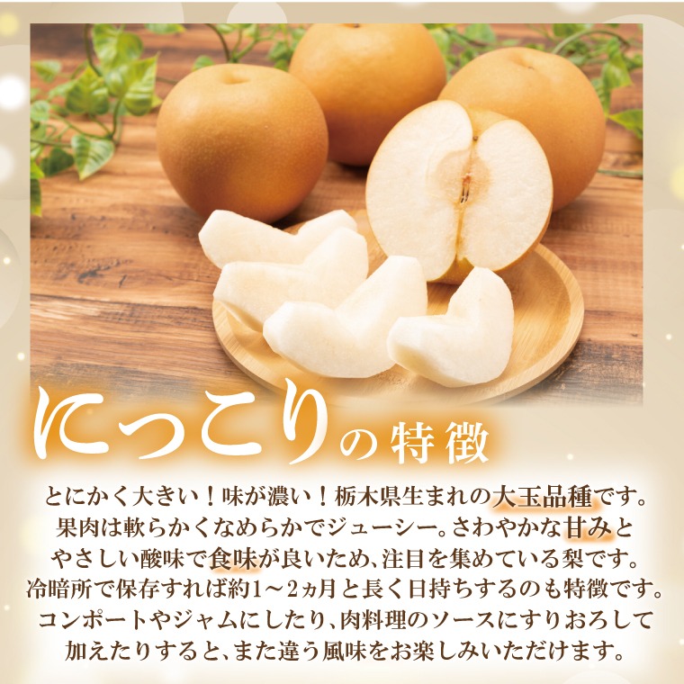 【先行予約】【数量限定】あい farm の梨 にっこり 5kg (6～12玉) | 10月中旬より順次発送 梨 なし フルーツ 果物 新鮮 旬 梨園 益子町産 (DQ004)