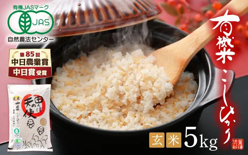 【中日賞受賞】 有機栽培 JAS認証 米 越前コシヒカリ 5kg 【玄米】【 こしひかり 5キロ 田んぼの天使 】 [e10-b006]