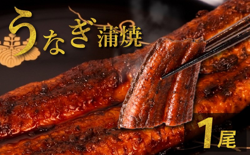 
                  うなぎの蒲焼 1尾 うなぎ ウナギ 鰻 蒲焼 蒲焼き 国産 冷凍
                