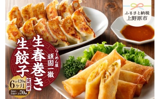 【6ヶ月定期便】一徹堂・冷凍生餃子(60個)＆生春巻き(10本)セット