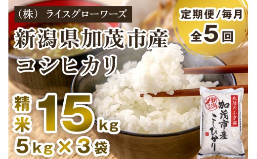 【令和7年産】【定期便5ヶ月毎月お届け】新潟県加茂市産コシヒカリ 精米15kg（5kg×3）《順次出荷》 新潟県産コシヒカリ 新潟産コシヒカリ 新潟コシヒカリ 新潟県産こしひかり 新潟産こしひかり 新潟こしひかり コシヒカリ こしひかり お米 白米 米 定期便 （株）ライスグローワーズ
