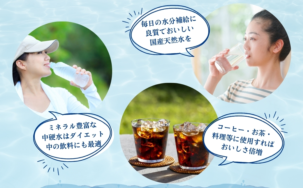 【定期便・全12回】ラベルのない細野の天然水 555ml×24本×12回 計288本_イメージ3