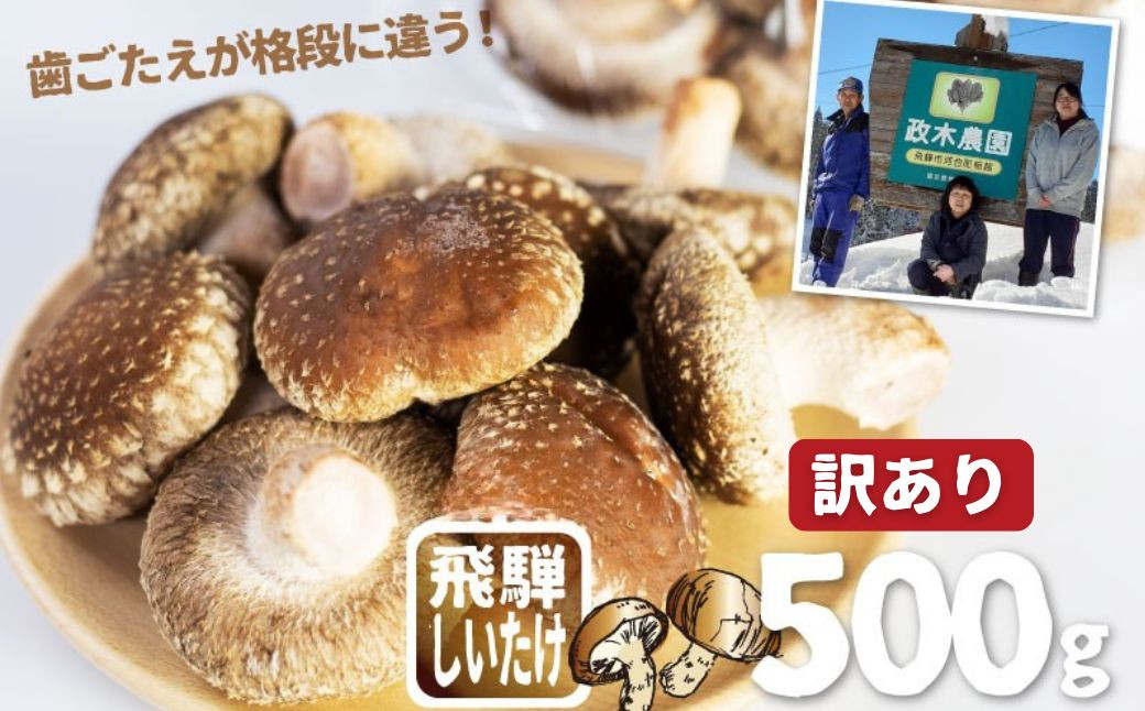 
            《期間・数量限定》訳あり しいたけ 計500g　政木農園 しいたけ シイタケ 椎茸 飛騨 不揃い サイズバラバラ 簡易包装 鍋 天ぷら バーベキュー
          