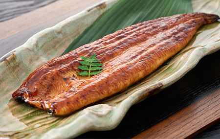 ＜高島屋選定品＞鹿児島県産うなぎ蒲焼と白焼のセット(各2尾)(IB001-042/59D1780)