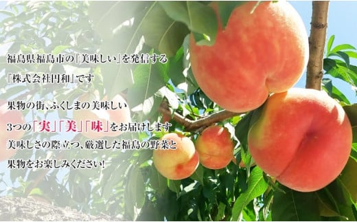 No.1697もも 白桃&黄桃 食べくらべセット 約2kg【2025年発送】