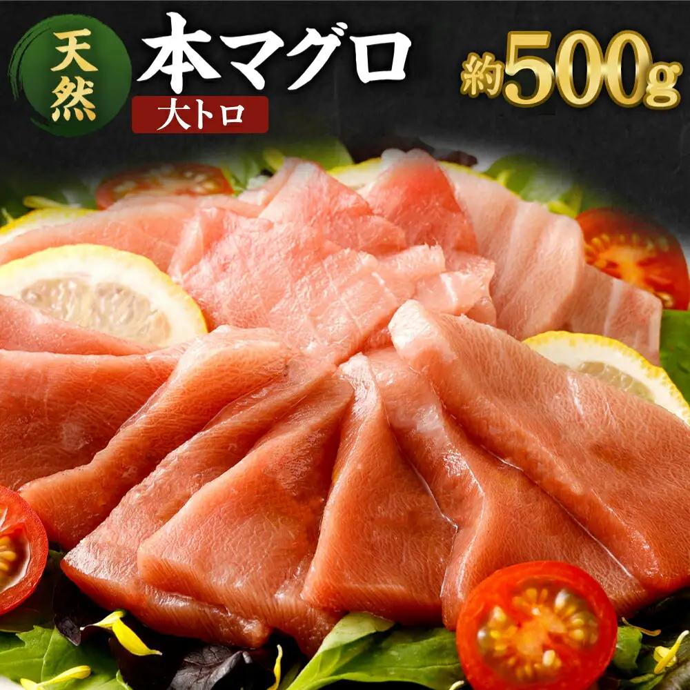 本まぐろ 大トロ 約500g まぐろ【ge013】