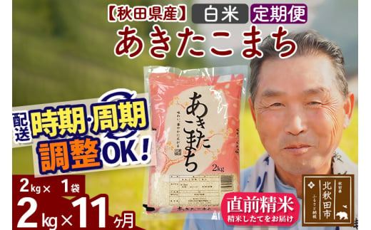 ※新米 令和6年産※《定期便11ヶ月》秋田県産 あきたこまち 2kg【白米】(2kg小分け袋) 2024年産 お届け時期選べる お届け周期調整可能 隔月に調整OK お米 おおもり