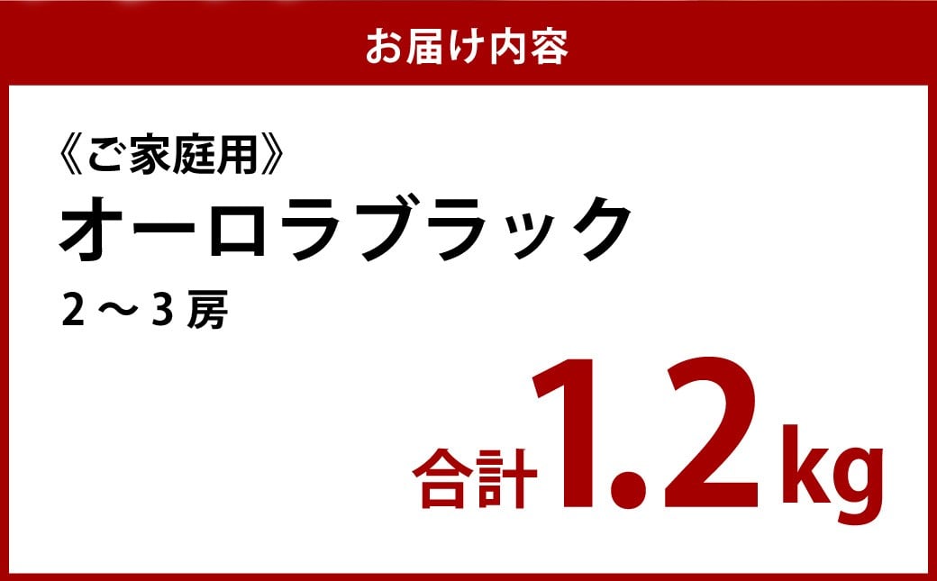 《ご家庭用》 オーロラブラック 2～3房 （合計約1.2kg）