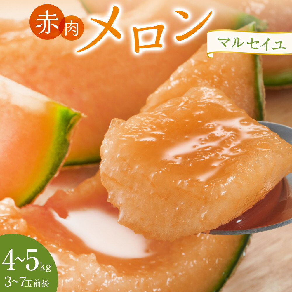 【ふるさと納税】782.【先行予約】赤肉メロン「マルセイユ」※着日指定不可 ※5月20日～6月30日頃に順次発送予定 | メロン 果物 フルーツ くだもの 鳥取県 北栄町 おすすめ 人気 送料無料