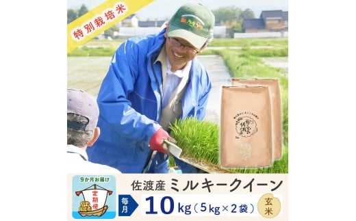 【新米予約 9か月定期便】佐渡島産ミルキークイーン 玄米10Kg (5Kg×2袋）令和7年 特別栽培米