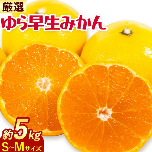 【ふるさと納税】みかん ゆら早生みかん 厳選 S-M サイズ 5kg GOGO農園《10月上旬-11月末頃出荷》和歌山県 日高川町 みかん 柑橘類 早生 柑橘 蜜柑 フルーツ 送料無料