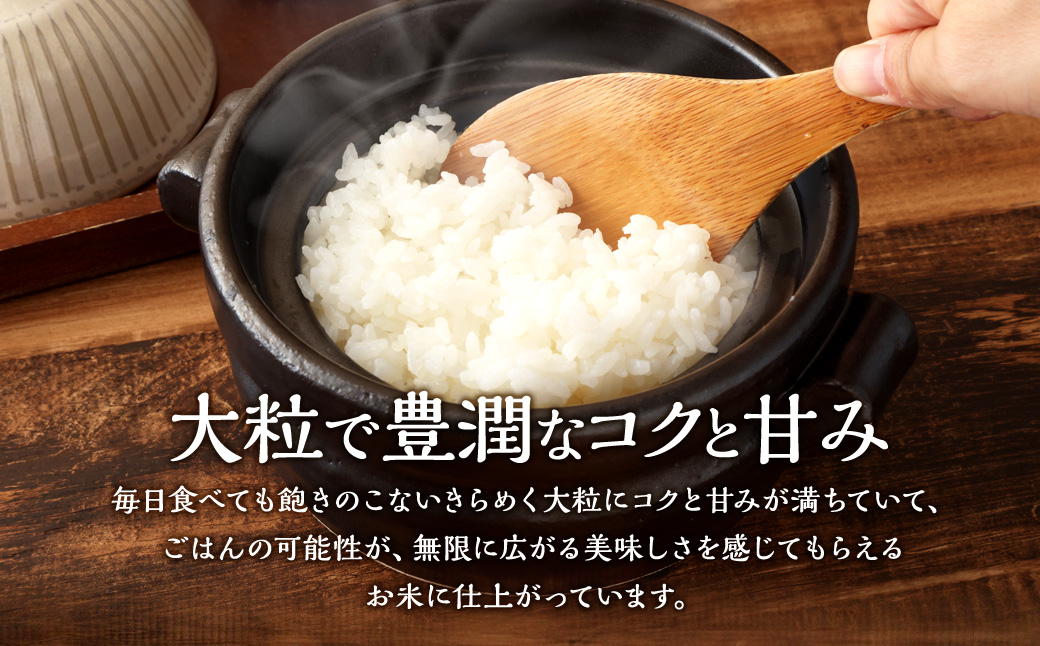 NA4149 【新米受付・令和6年産米】 空舞米　岩船産 新之助精米6kg