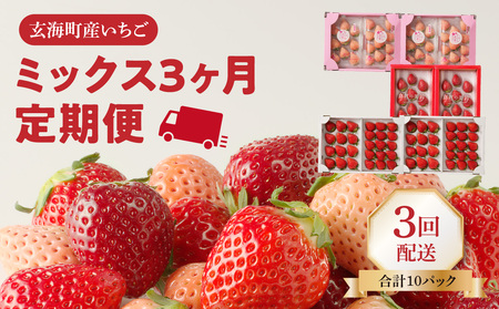 ★予約受付★ 玄海町産いちご ミックス定期便DX ／ さがほのか 淡雪 真紅の美鈴 果物 フルーツ 定期便【Z055】