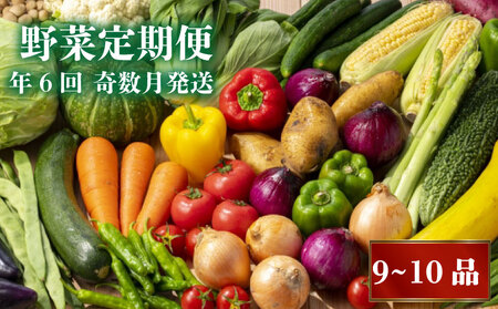 【 野菜定期便 】【 早期予約 】 2026年1月より順次発送 6回 9～10品 奇数月発送 
