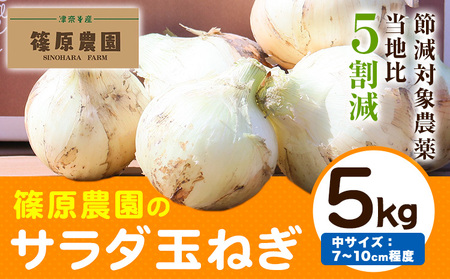 節減対象農薬 当地比5割減 サラダ玉ねぎ (中サイズ) 5kg 《4月上旬-5月下旬頃出荷》熊本県 葦北郡 津奈木町 篠原農園 野菜 たまねぎ 