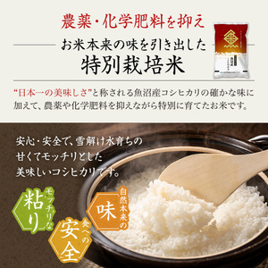 【令和7年産米】特別栽培米 魚沼産こしひかり(十日町地域) 精米 2kg 7月配送 お米 精米 こめ ご飯 白米 特別栽培  旧：五郎兵衛