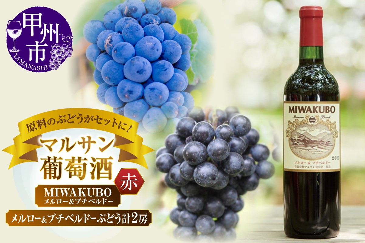 
                  マルサン葡萄酒 MIWAKUBO メルロー&プチベルドーワインとメルロー＆プチベルドーぶどう ちょっとニッチなセットになります！（MG）B13-671 【ワイン マルサン葡萄酒 赤ワイン 甲州市 山梨県】
                