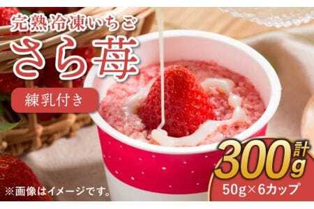 いちご 冷凍 50g×6カップ 合計300g 練乳  完熟 冷凍 いちご 「さら苺」 6カップ 合計300g 練乳付き 1本（120g） 園村苺園 熊本県産冷凍いちご 宇城市産冷凍いちご 九州産冷凍いちご  