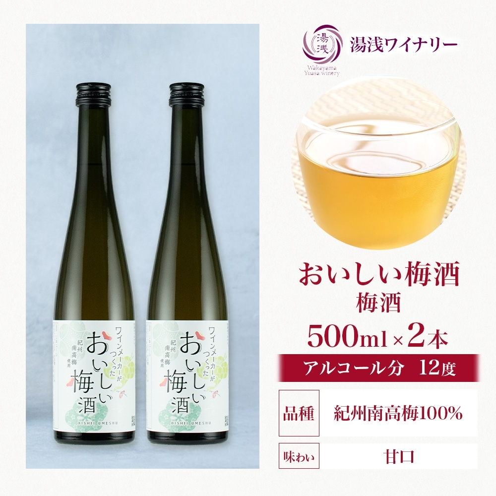KG1014_ワインメーカーが作ったおいしい梅酒 紀州南高梅 使用 12度 500ml 2本 湯浅ワイナリー