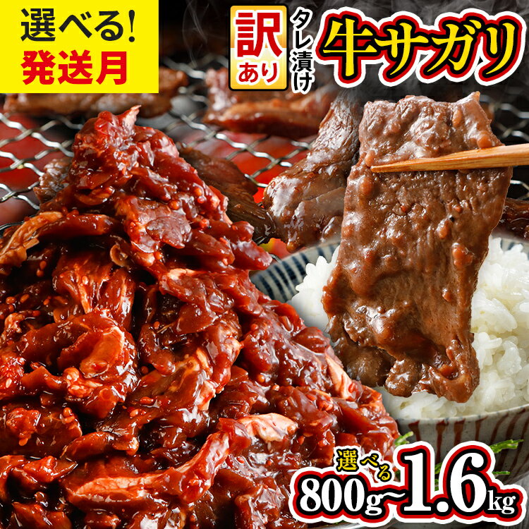 【ふるさと納税】訳あり牛肉 牛サガリ 選べる 小分け 切り落とし 焼肉 800g 1.6kg 希少部位 旨だれ お試し 味付け さがり 大容量 真空パック 本場のタレ ハラミ BBQ キャンプ 牛ハラミ 焼くだけ 焼肉 ご飯がすすむ 晩御飯 甘口 丼 焼き肉 不揃い