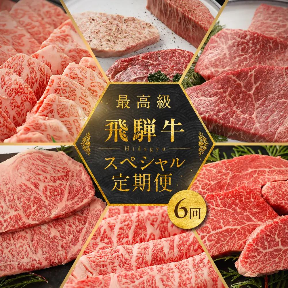 【定期便 6回】飛騨牛食べ尽くし定期便 6カ月（飛騨牛すき焼き 焼肉 ステーキ ）【冷凍】【22-B】