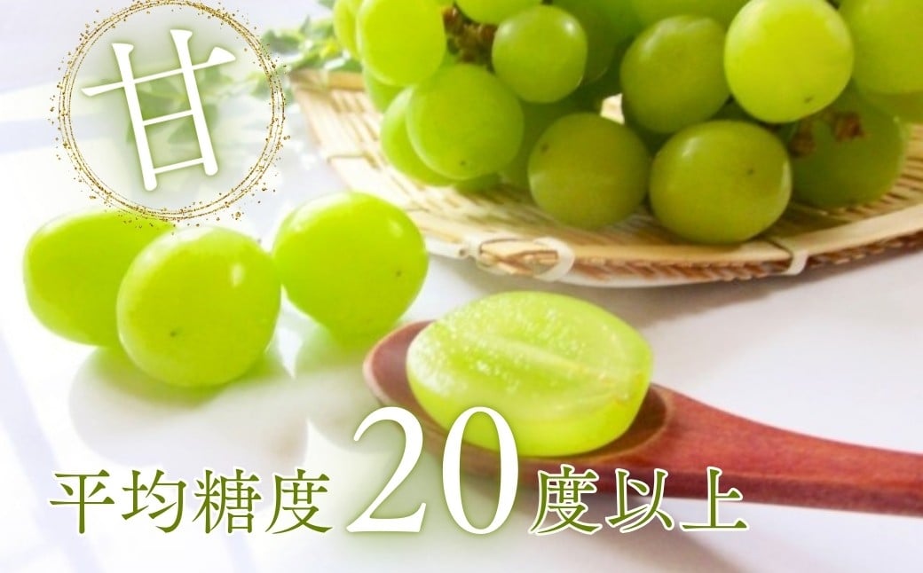 シャインマスカット 約1kg（2~3房）※最低900g以上