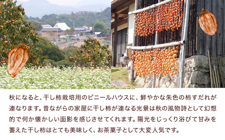 先行予約 山ノ上 干し柿 セット 《12月中旬-1月上旬頃出荷》水車の里フルーツトピア岡山県矢掛町産 柿 果物 フルーツ 干柿餅