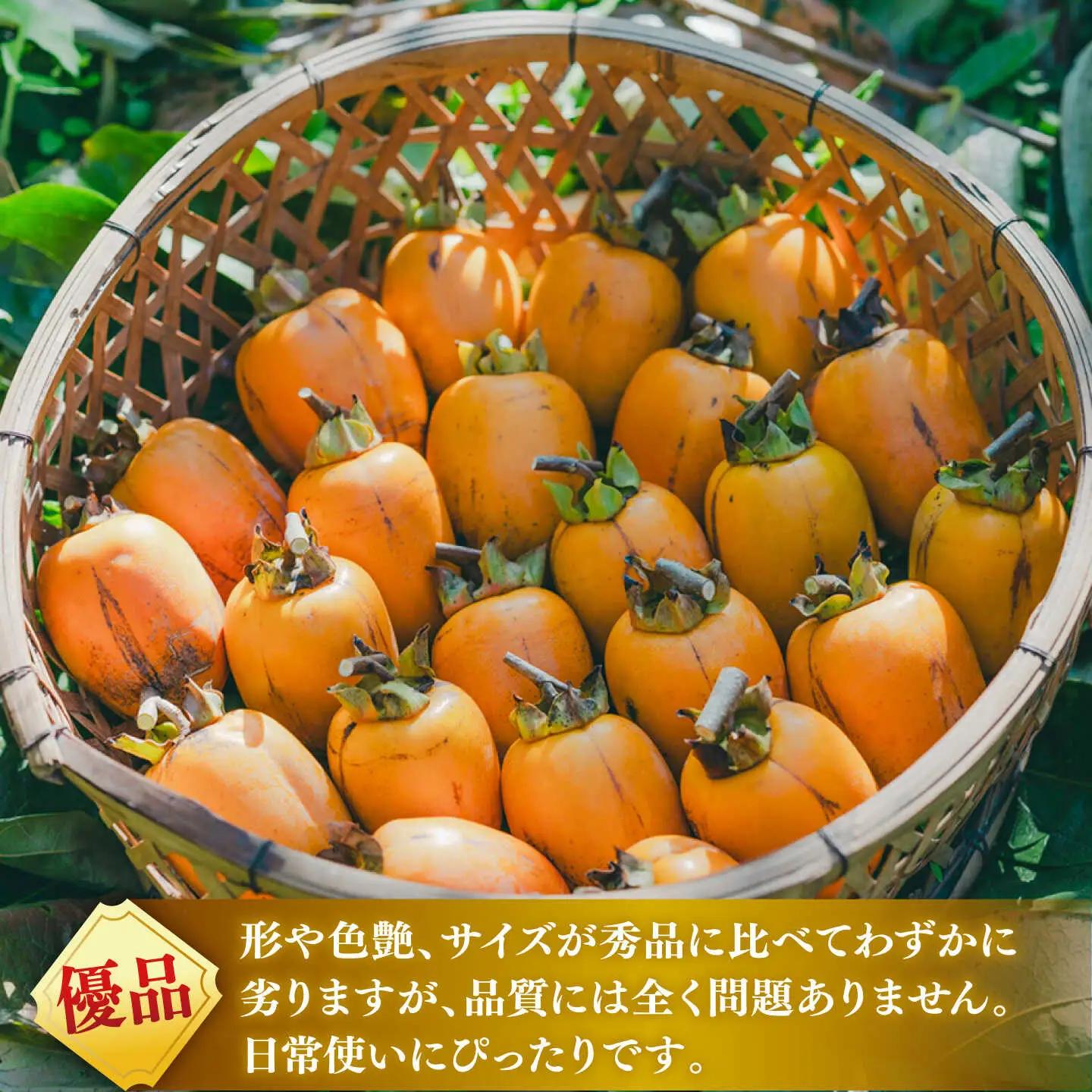 フルーツ 【先行予約】【20個限定】【優品】 とろ?り甘さの極み！合わせ柿 2kg(8玉?12玉) 島根県松江市/マルカミ農縁株式会社 [ALCM014] フルーツ フルーツ