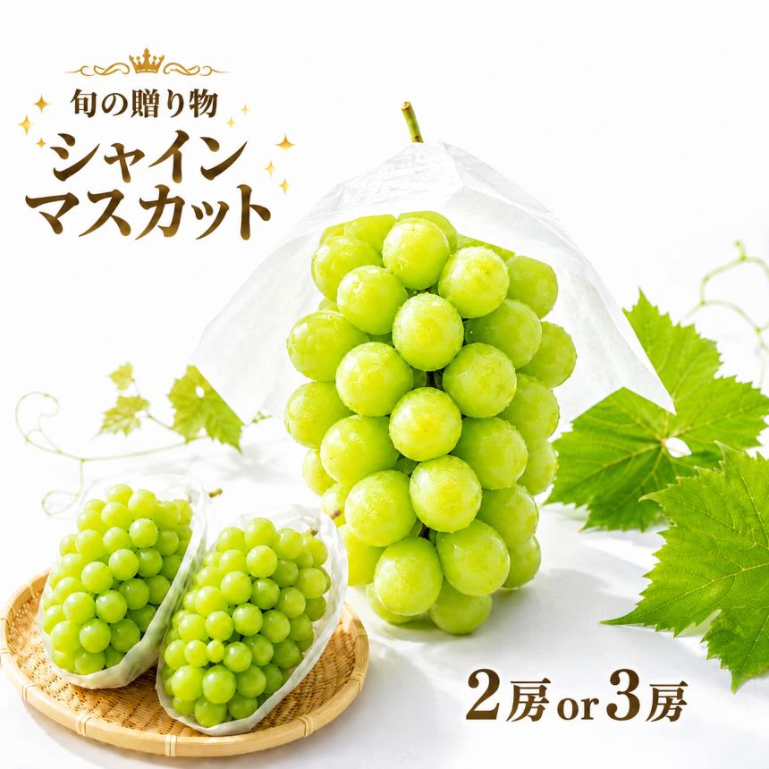 【ふるさと納税】シャインマスカット 【 選べる 内容量 】2房 ～ 3房 ( 1000g ～ 1800g以上 ) | フルーツ ぶどう シャインマスカット 果物 くだもの 葡萄 ブドウ 兵庫県 上郡町