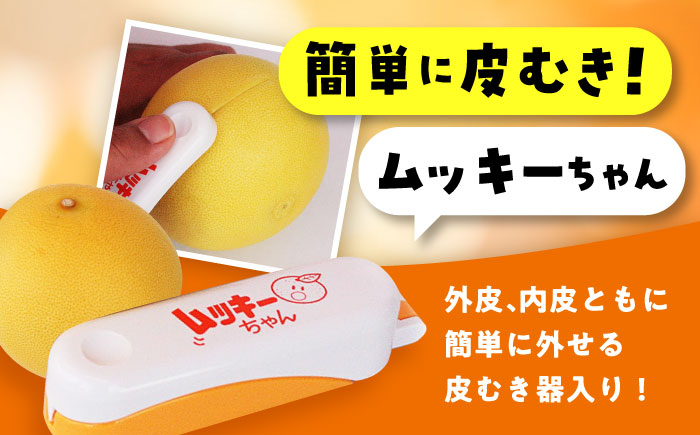 南国土佐の女王柑橘 水晶文旦 約5kg 7玉入り〈2025年9月中旬～2025年12月下旬頃発送〉/ 大玉サイズ ぶんたん 文旦 フルーツ 高知名物 果物 【フルーツショップオザキ】 [ATAH010
