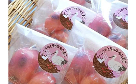 No.510 こうのとりの焼き菓子　10個セット