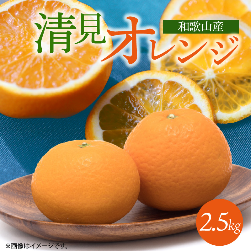 【2027年先行予約】とにかくジューシー 清見 オレンジ 2.5kg フルーツ 果物 柑橘 果実 甘い 果汁 ジューシー コク 柑橘の親 国産 食品 食べ物 魚鶴商店 平成の三大柑橘 お取り寄せ 和歌山県 湯浅町 送料無料_G7328