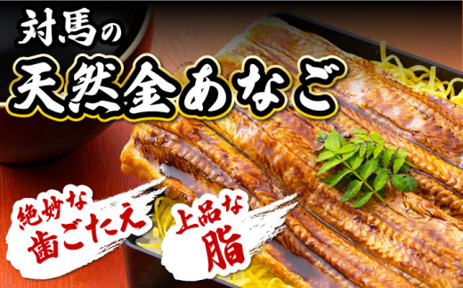 【全3回定期便】対馬産 活〆 穴子 ３点 セット B【THE・対馬株式会社】《対馬市》新鮮 あなご 刺身 天ぷら 海鮮 肉厚 簡単調理 二人前 [WAS009]