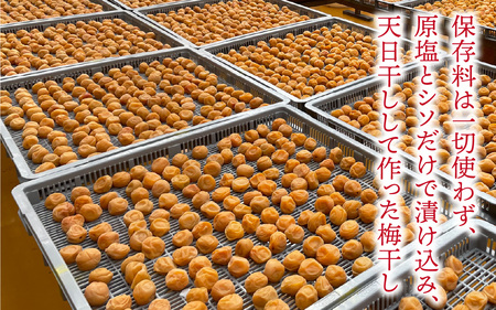 昔ながら 梅干し 福井県産しそ梅干し1.8kg 梅